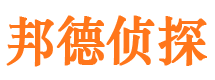 白碱滩侦探社